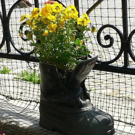 Dal Maestro Serafino 公寓 普拉吉拉托